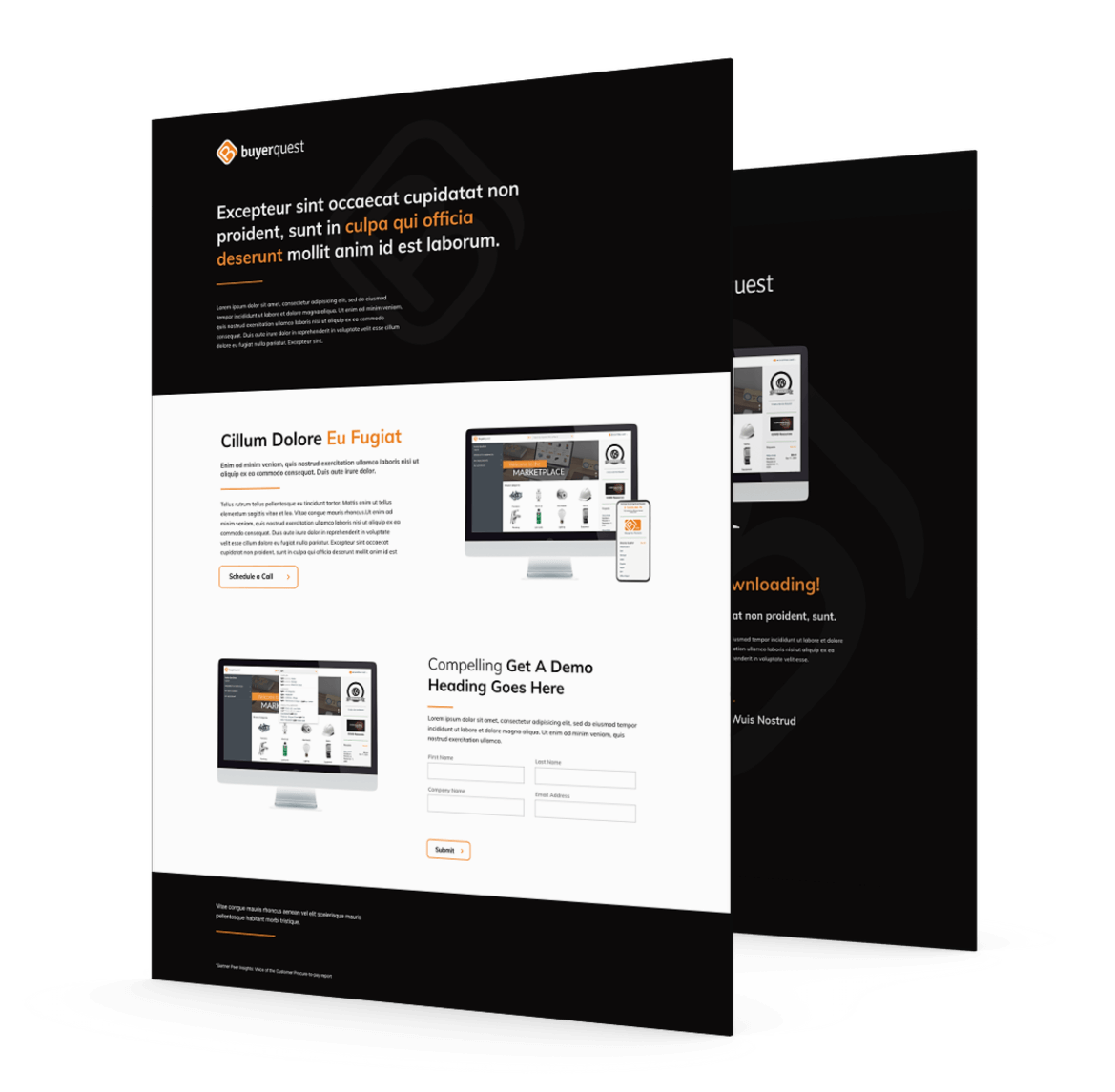 BuyerQuest landing page design mockup